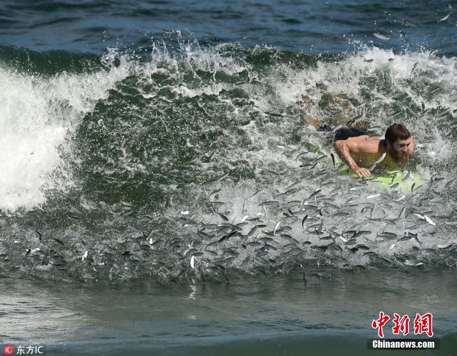 阳江：强冷空气今天到货 最低温为8℃